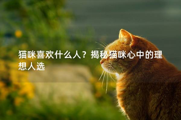 猫咪喜欢什么人？揭秘猫咪心中的理想人选