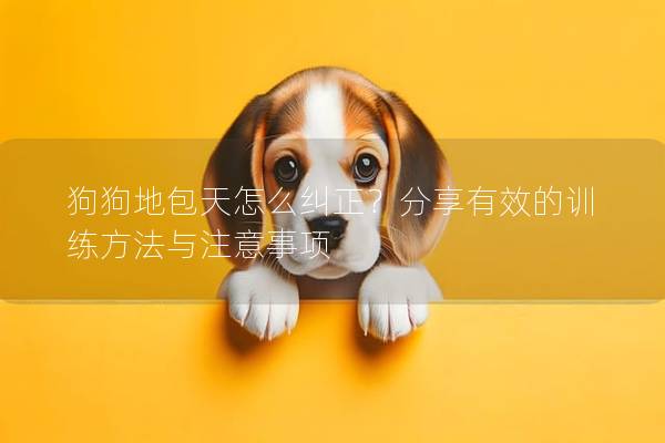 狗狗地包天怎么纠正？分享有效的训练方法与注意事项