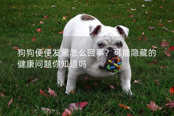 狗狗便便发黑怎么回事？可能隐藏的健康问题你知道吗