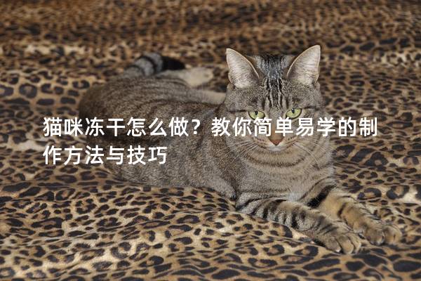 猫咪冻干怎么做？教你简单易学的制作方法与技巧