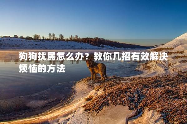 狗狗扰民怎么办？教你几招有效解决烦恼的方法
