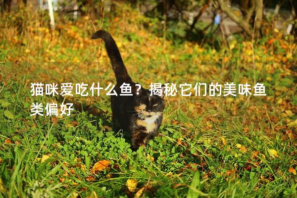 猫咪爱吃什么鱼？揭秘它们的美味鱼类偏好