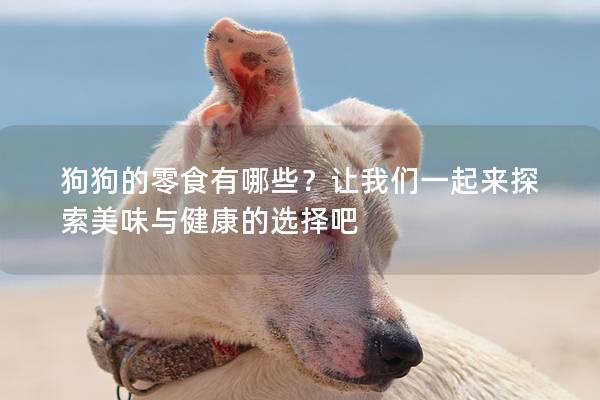 狗狗的零食有哪些？让我们一起来探索美味与健康的选择吧