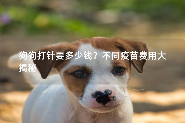 狗狗打针要多少钱？不同疫苗费用大揭秘