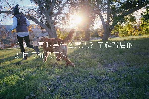 狗狗一直叫是什么意思？了解背后的原因与解决方法