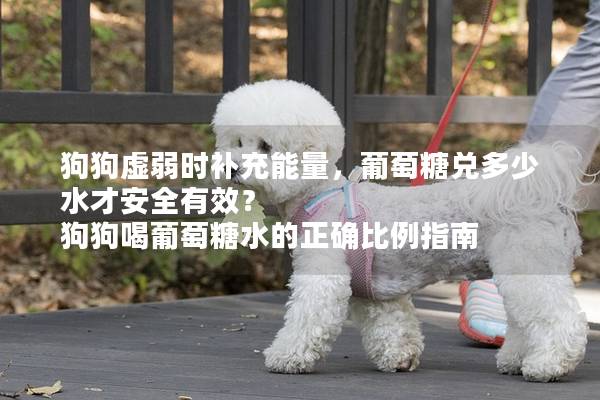 狗狗虚弱时补充能量，葡萄糖兑多少水才安全有效？ 狗狗喝葡萄糖水的正确比例指南
