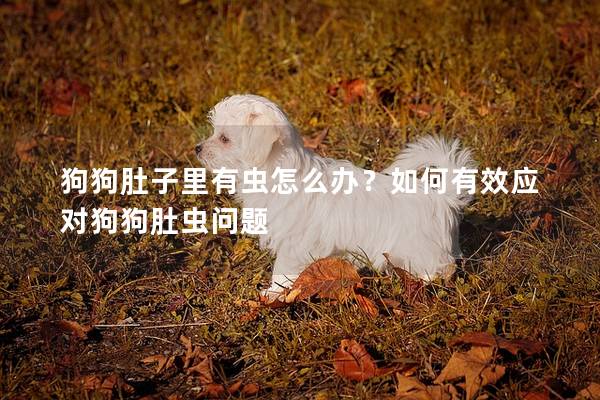 狗狗肚子里有虫怎么办？如何有效应对狗狗肚虫问题