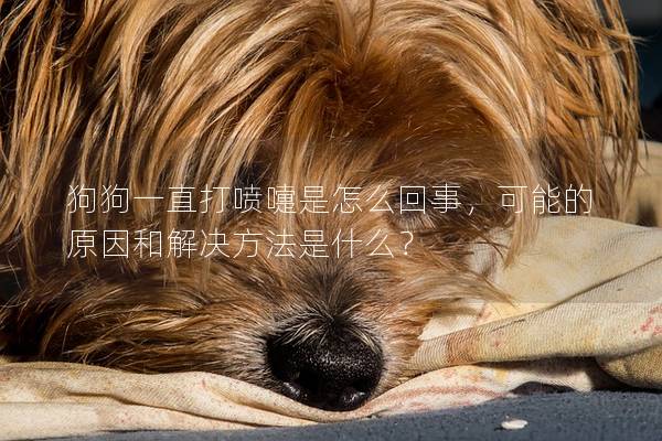 狗狗一直打喷嚏是怎么回事，可能的原因和解决方法是什么？