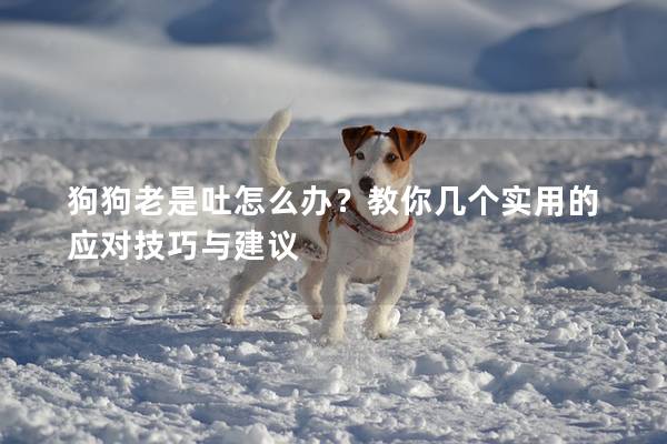 狗狗老是吐怎么办？教你几个实用的应对技巧与建议