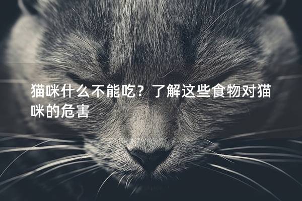 猫咪什么不能吃？了解这些食物对猫咪的危害