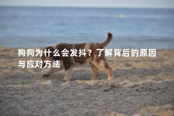 狗狗为什么会发抖？了解背后的原因与应对方法