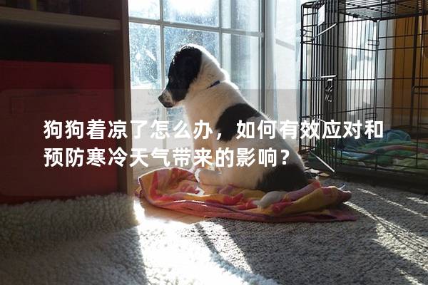 狗狗着凉了怎么办，如何有效应对和预防寒冷天气带来的影响？