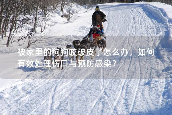被家里的狗狗咬破皮了怎么办，如何有效处理伤口与预防感染？