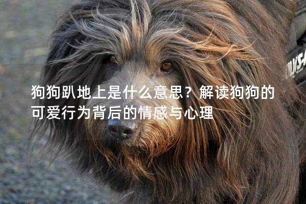 狗狗趴地上是什么意思？解读狗狗的可爱行为背后的情感与心理