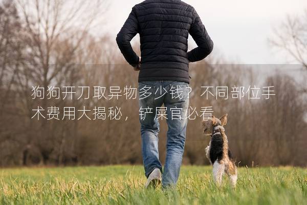 狗狗开刀取异物多少钱？不同部位手术费用大揭秘，铲屎官必看
