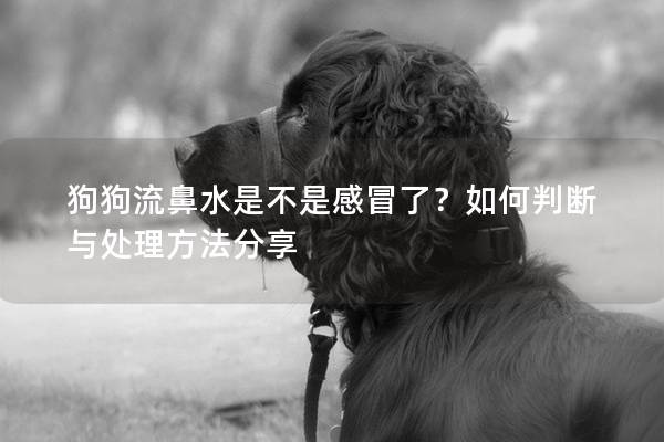 狗狗流鼻水是不是感冒了？如何判断与处理方法分享