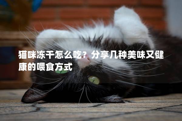 猫咪冻干怎么吃？分享几种美味又健康的喂食方式