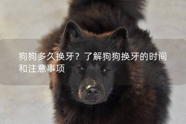狗狗多久换牙？了解狗狗换牙的时间和注意事项