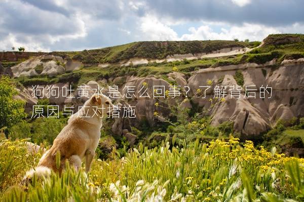 狗狗吐黄水是怎么回事？了解背后的原因与应对措施