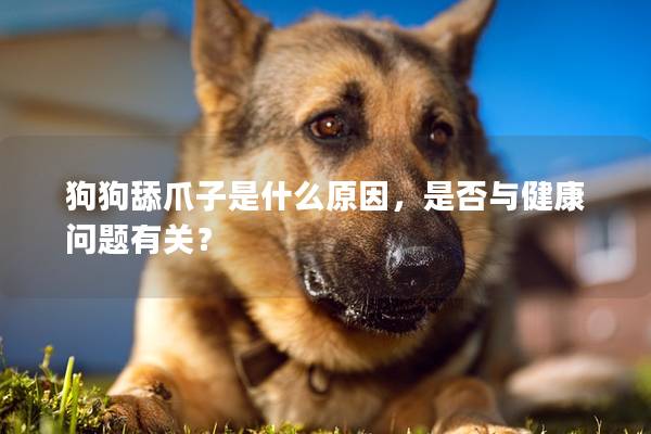 狗狗舔爪子是什么原因，是否与健康问题有关？