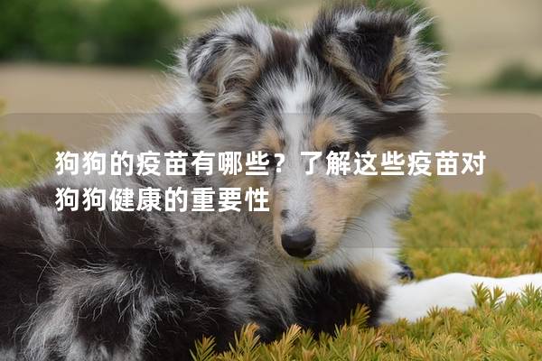 狗狗的疫苗有哪些？了解这些疫苗对狗狗健康的重要性