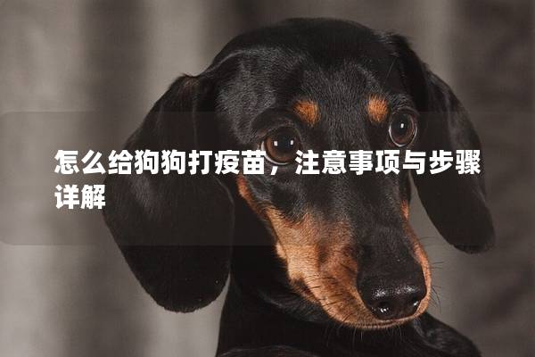 怎么给狗狗打疫苗，注意事项与步骤详解