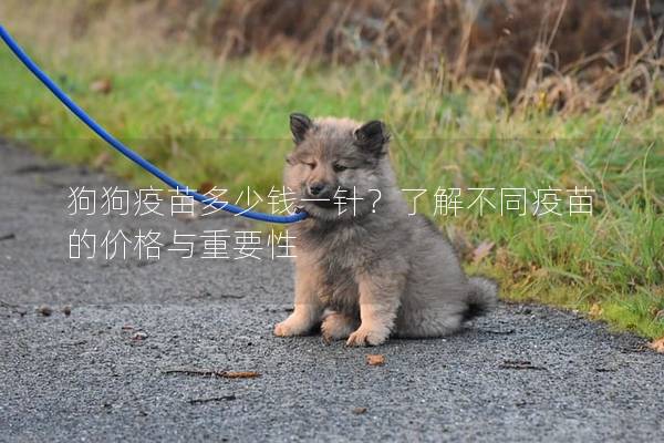 狗狗疫苗多少钱一针？了解不同疫苗的价格与重要性