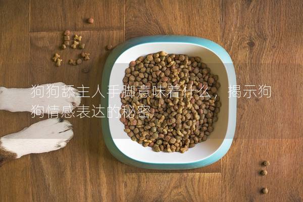狗狗舔主人手脚意味着什么，揭示狗狗情感表达的秘密