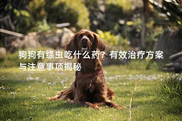 狗狗有绦虫吃什么药？有效治疗方案与注意事项揭秘
