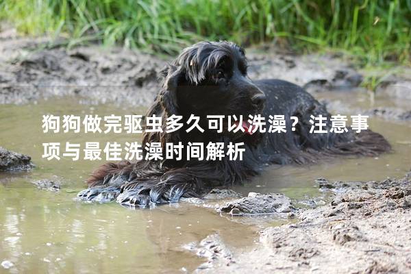 狗狗做完驱虫多久可以洗澡？注意事项与最佳洗澡时间解析