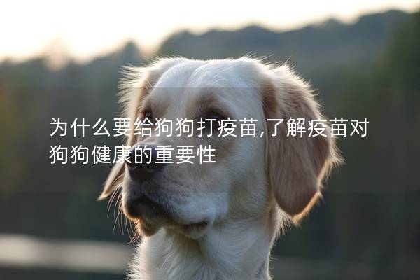 为什么要给狗狗打疫苗,了解疫苗对狗狗健康的重要性