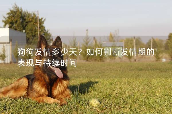 狗狗发情多少天？如何判断发情期的表现与持续时间