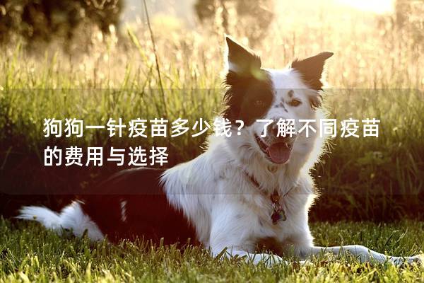 狗狗一针疫苗多少钱？了解不同疫苗的费用与选择