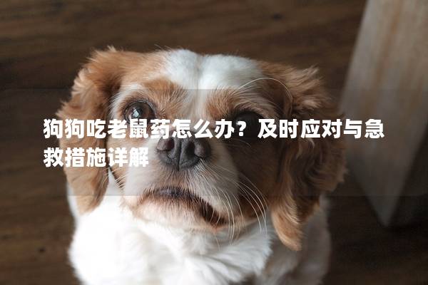 狗狗吃老鼠药怎么办？及时应对与急救措施详解