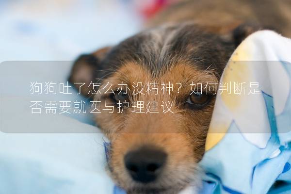 狗狗吐了怎么办没精神？如何判断是否需要就医与护理建议