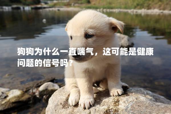 狗狗为什么一直喘气，这可能是健康问题的信号吗？