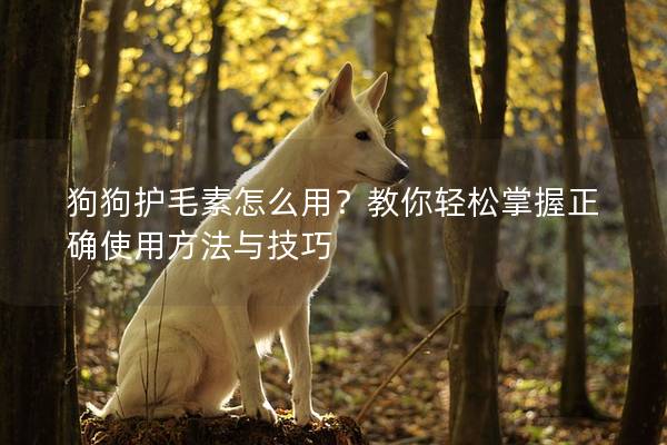 狗狗护毛素怎么用？教你轻松掌握正确使用方法与技巧