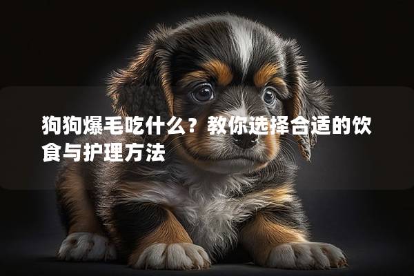 狗狗爆毛吃什么？教你选择合适的饮食与护理方法