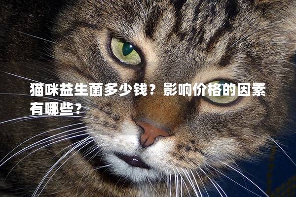 猫咪益生菌多少钱？影响价格的因素有哪些？