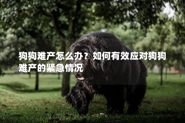 狗狗难产怎么办？如何有效应对狗狗难产的紧急情况