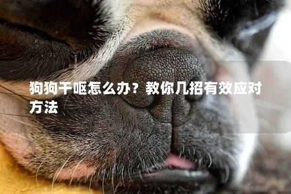 狗狗干呕怎么办？教你几招有效应对方法