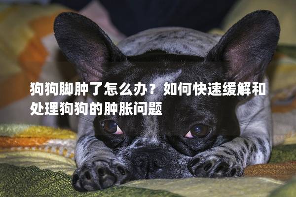 狗狗脚肿了怎么办？如何快速缓解和处理狗狗的肿胀问题