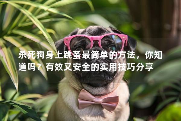 杀死狗身上跳蚤最简单的方法，你知道吗？有效又安全的实用技巧分享