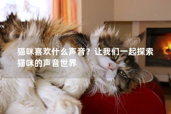 猫咪喜欢什么声音？让我们一起探索猫咪的声音世界