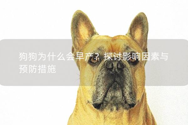 狗狗为什么会早产？探讨影响因素与预防措施