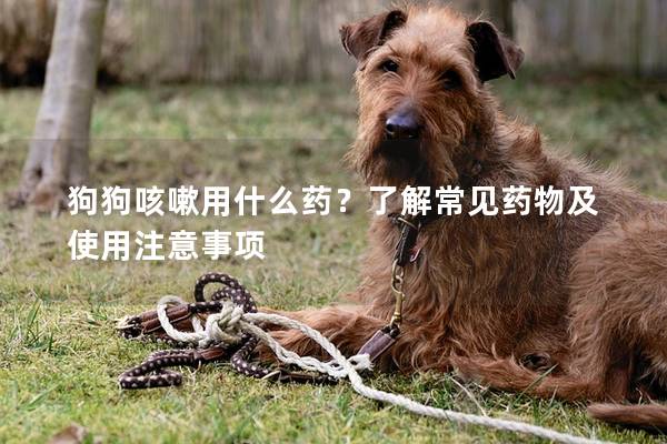 狗狗咳嗽用什么药？了解常见药物及使用注意事项