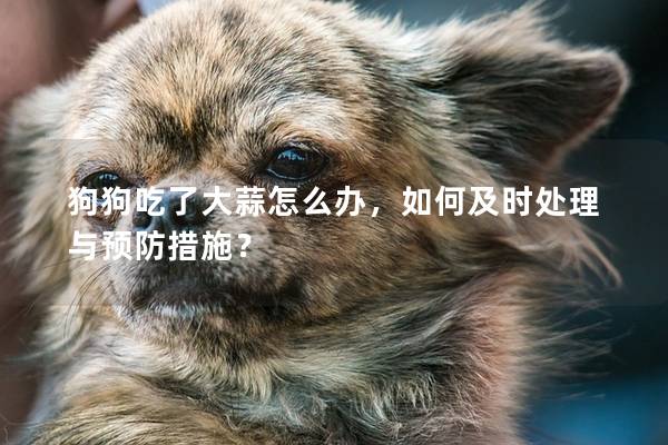 狗狗吃了大蒜怎么办，如何及时处理与预防措施？