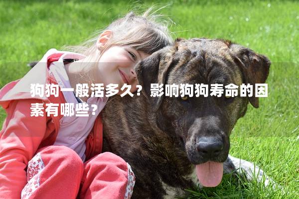 狗狗一般活多久？影响狗狗寿命的因素有哪些？