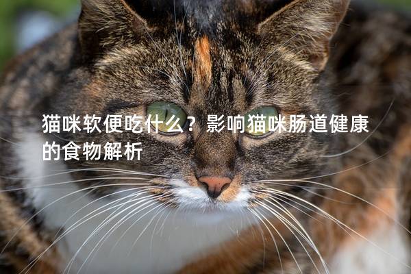 猫咪软便吃什么？影响猫咪肠道健康的食物解析