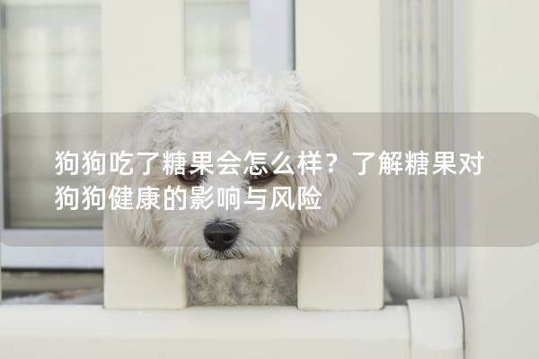 狗狗吃了糖果会怎么样？了解糖果对狗狗健康的影响与风险